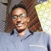 ProZ.com profile photo