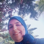 ProZ.com profile photo