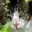 ProZ.com profile photo