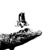 ProZ.com profile photo