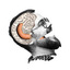ProZ.com profile photo