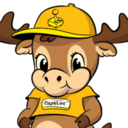 ProZ.com profile photo